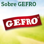 Über GEFRO